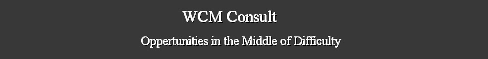 Consulting